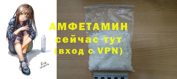 индика Верхний Тагил