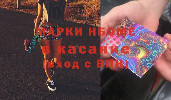 индика Верхний Тагил