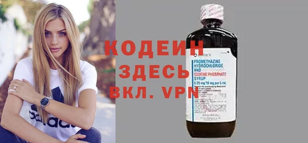 индика Верхний Тагил