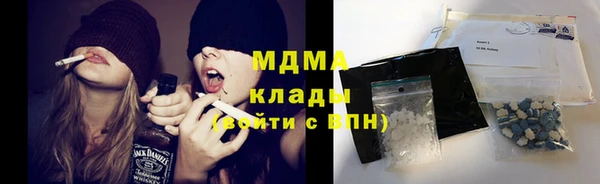 индика Верхний Тагил