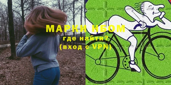 индика Верхний Тагил
