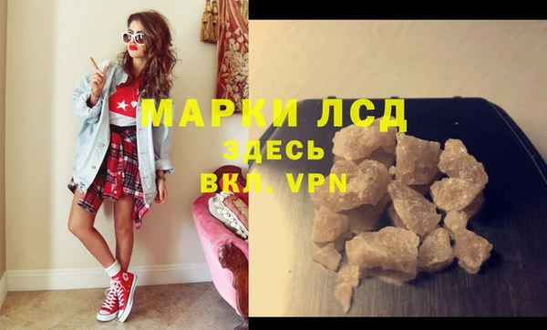 индика Верхний Тагил