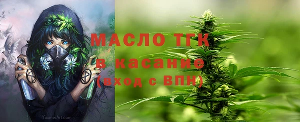 индика Верхний Тагил