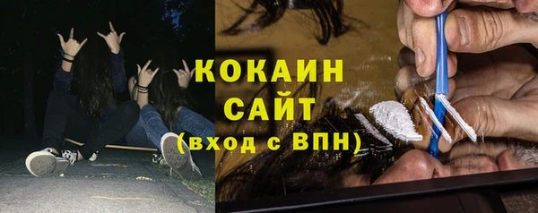 индика Верхний Тагил