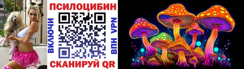Купить закладки  Магадан  Галлюциногенные грибы GOLDEN TEACHER 